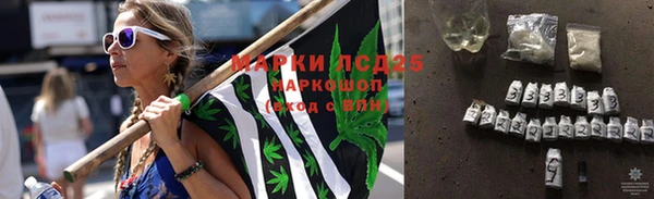 прущие грибы Мегион