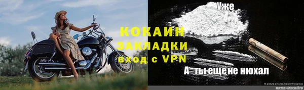 прущие грибы Мегион