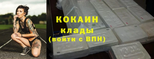 прущие грибы Мегион