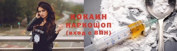 прущие грибы Мегион
