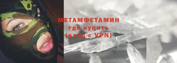 прущие грибы Мегион