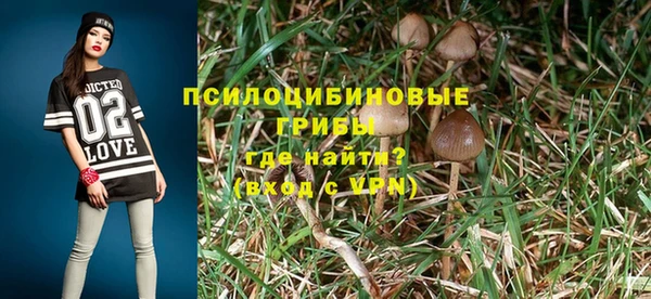 ALPHA PVP Медногорск