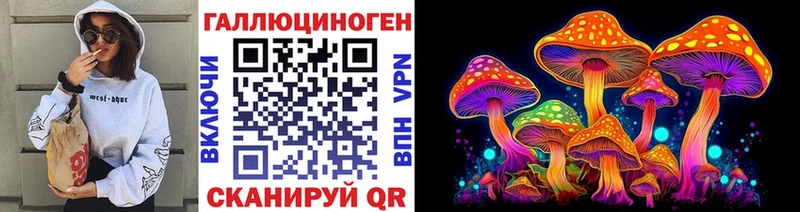 ссылка на мегу онион  Ахтырский  Псилоцибиновые грибы Psilocybe  закладка 